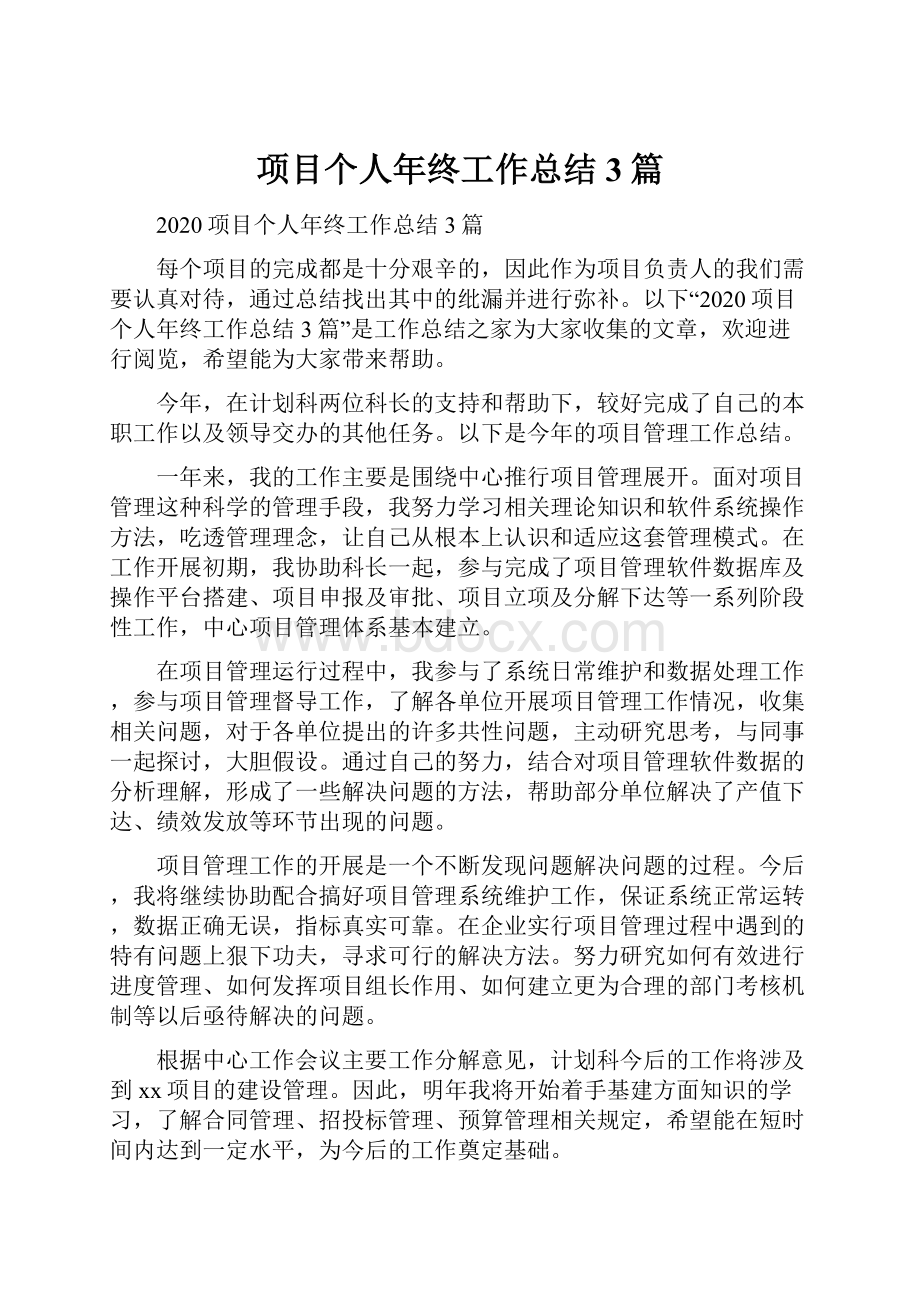 项目个人年终工作总结3篇文档格式.docx