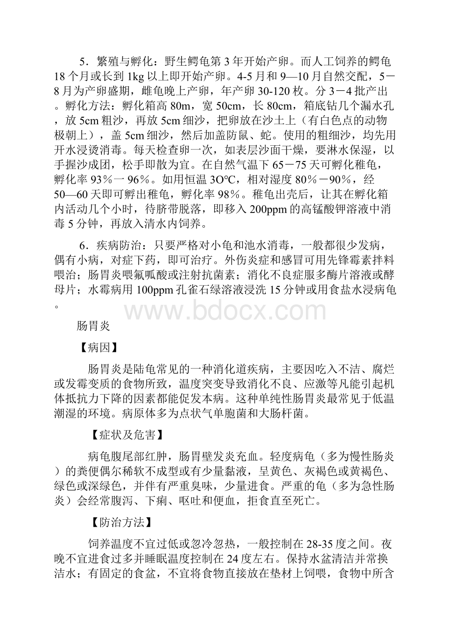 我说说关于鳄龟的几个要点.docx_第2页