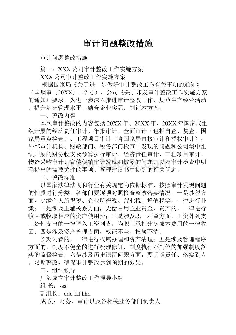 审计问题整改措施.docx