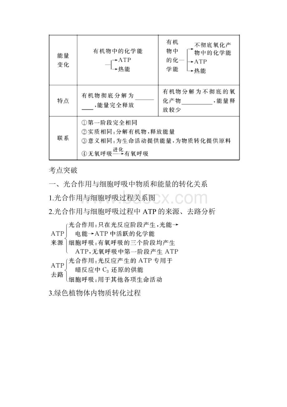 备战高考生物二轮复习新突破专题04光合作用和呼吸作用学案含答案解析.docx_第3页