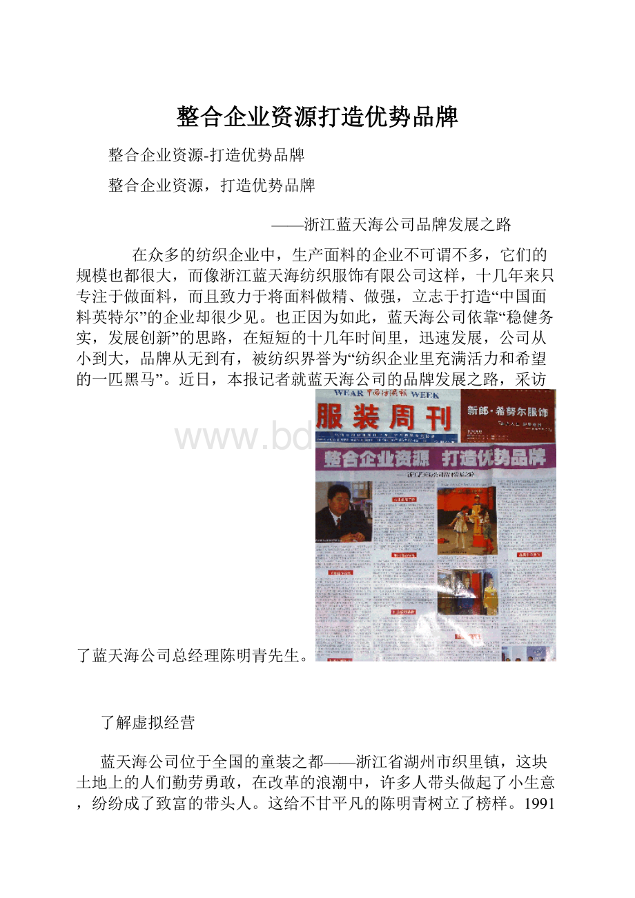 整合企业资源打造优势品牌文档格式.docx