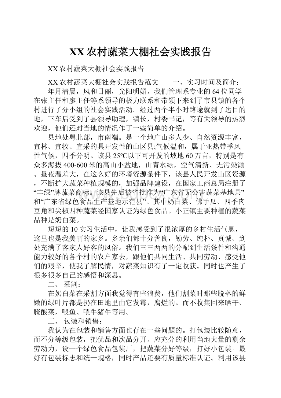 XX农村蔬菜大棚社会实践报告文档格式.docx