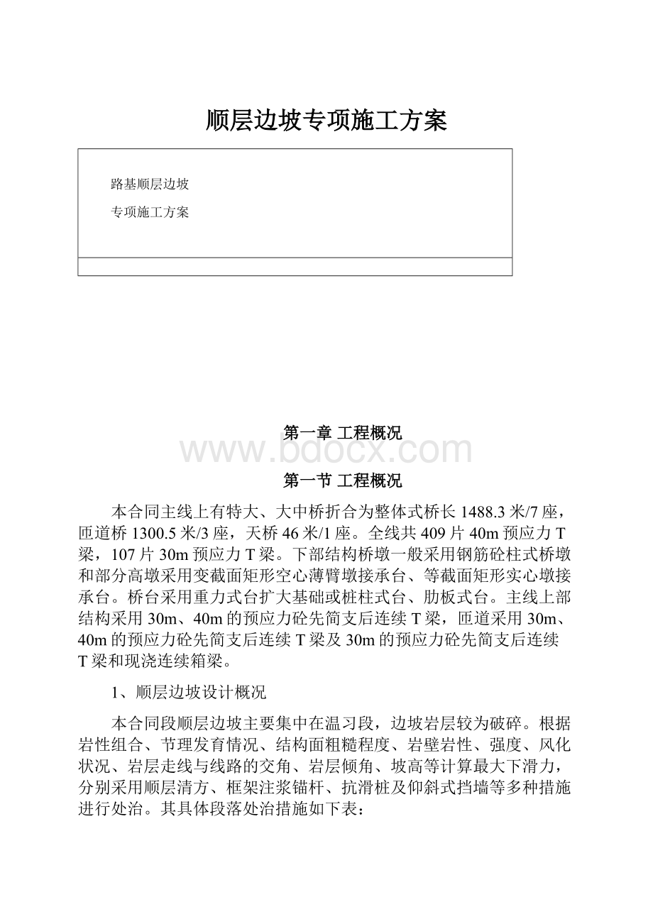 顺层边坡专项施工方案文档格式.docx