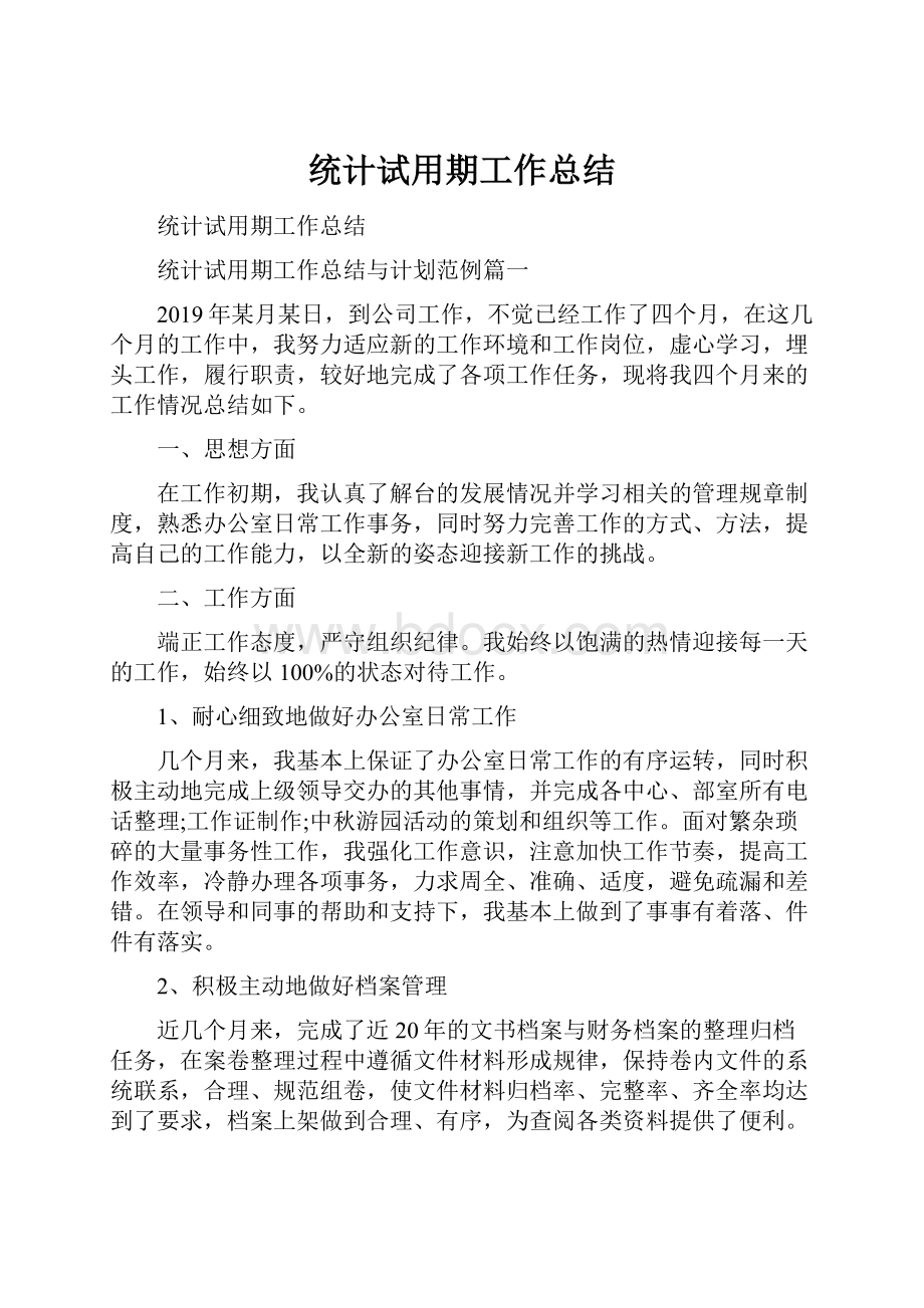 统计试用期工作总结文档格式.docx