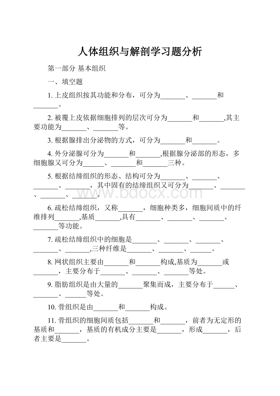 人体组织与解剖学习题分析文档格式.docx