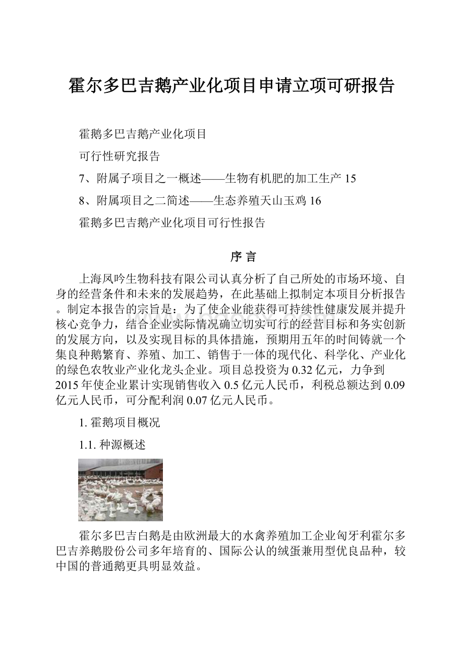 霍尔多巴吉鹅产业化项目申请立项可研报告.docx_第1页