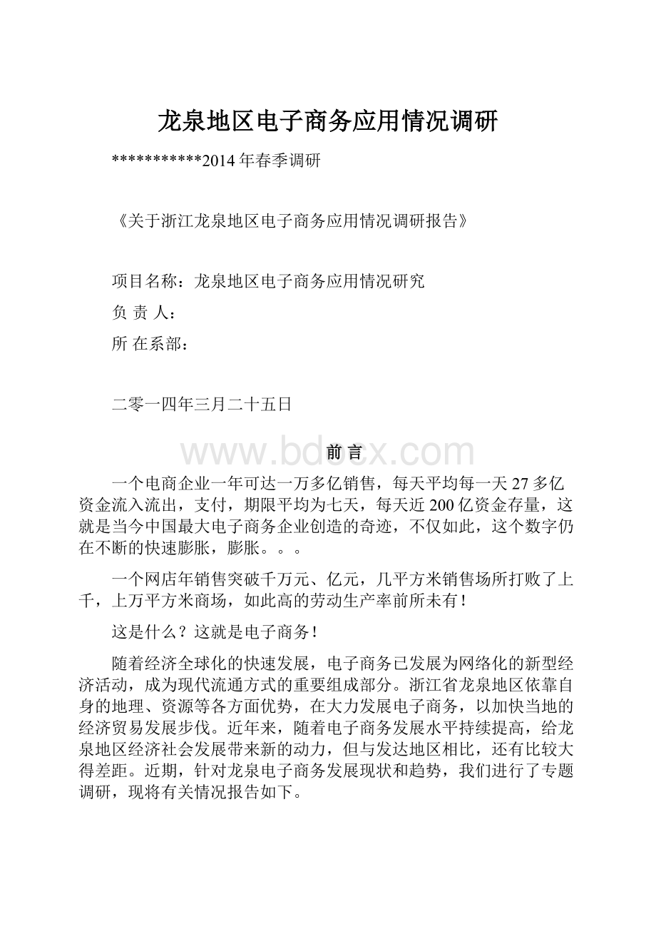 龙泉地区电子商务应用情况调研.docx