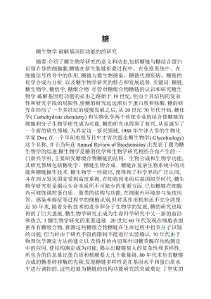 糖文档格式.docx