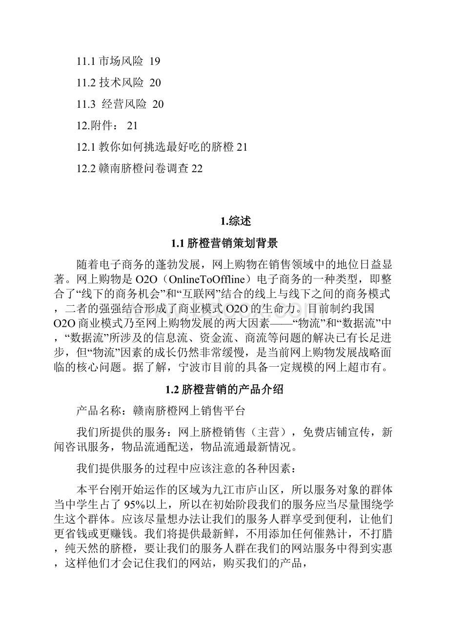 赣南脐橙电子商务网络市场推广营销策划书Word下载.docx_第3页