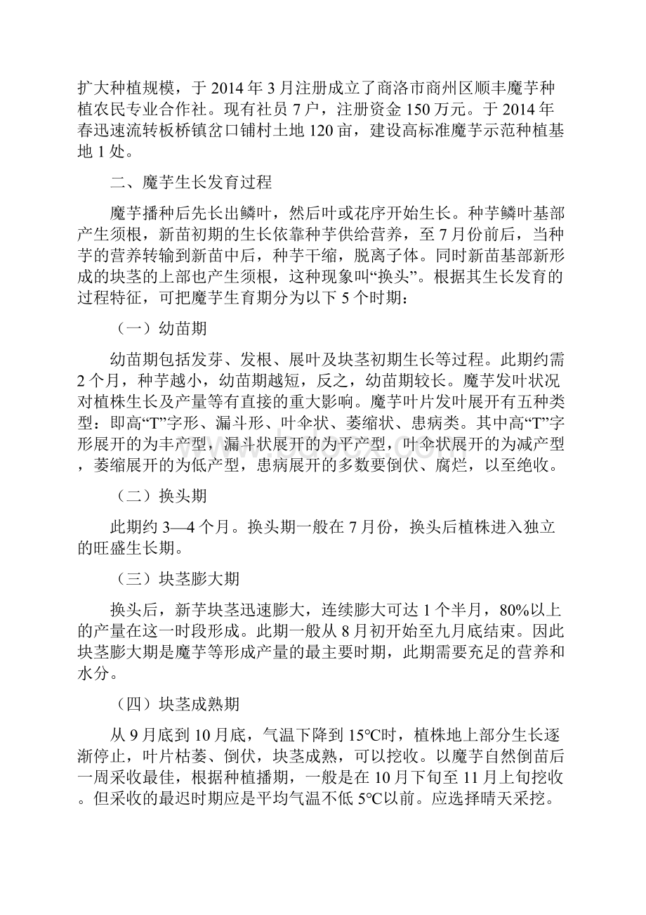 魔芋高产栽培技术种植效益分析杨卫国材料Word文档下载推荐.docx_第2页