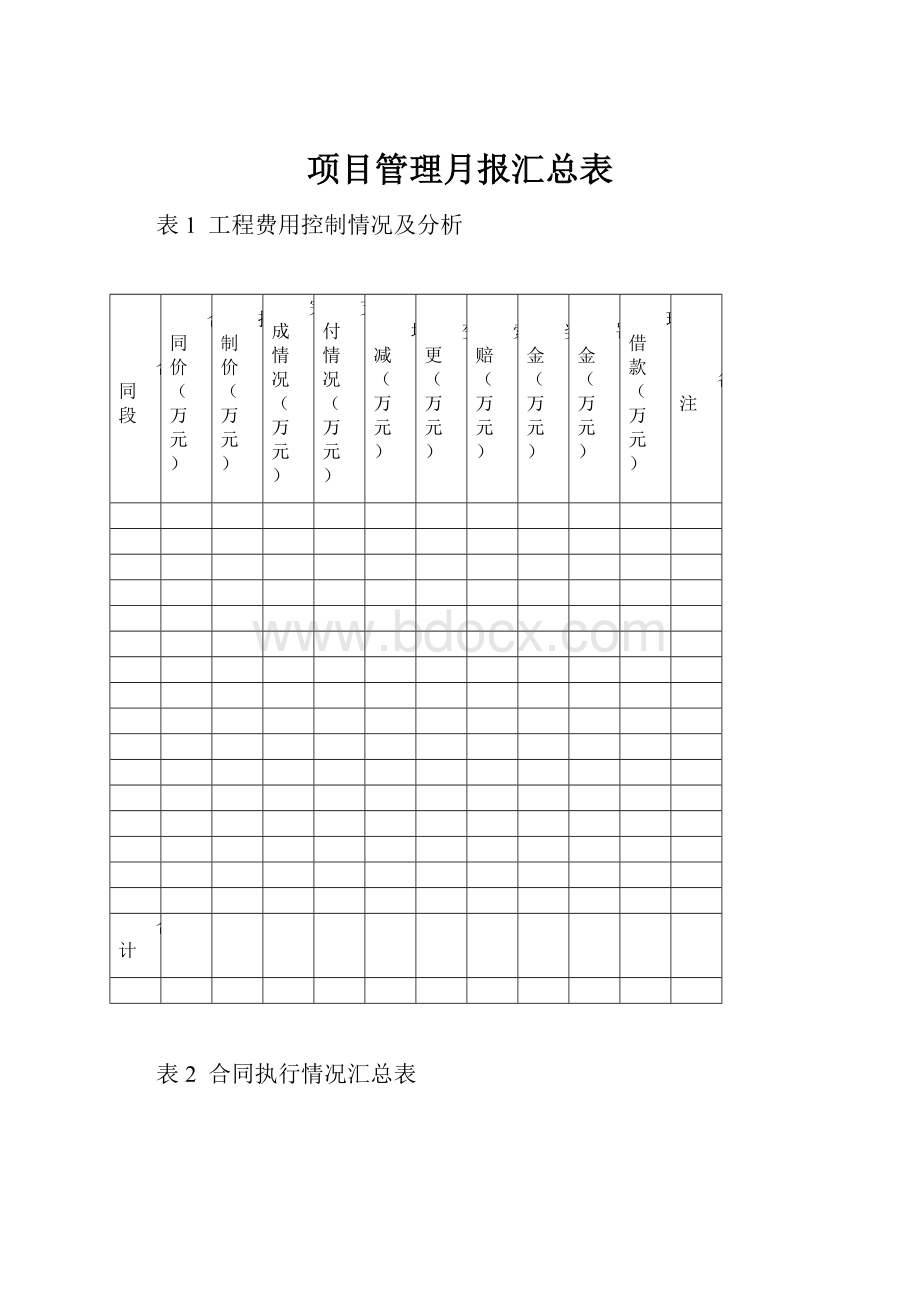 项目管理月报汇总表Word文档格式.docx