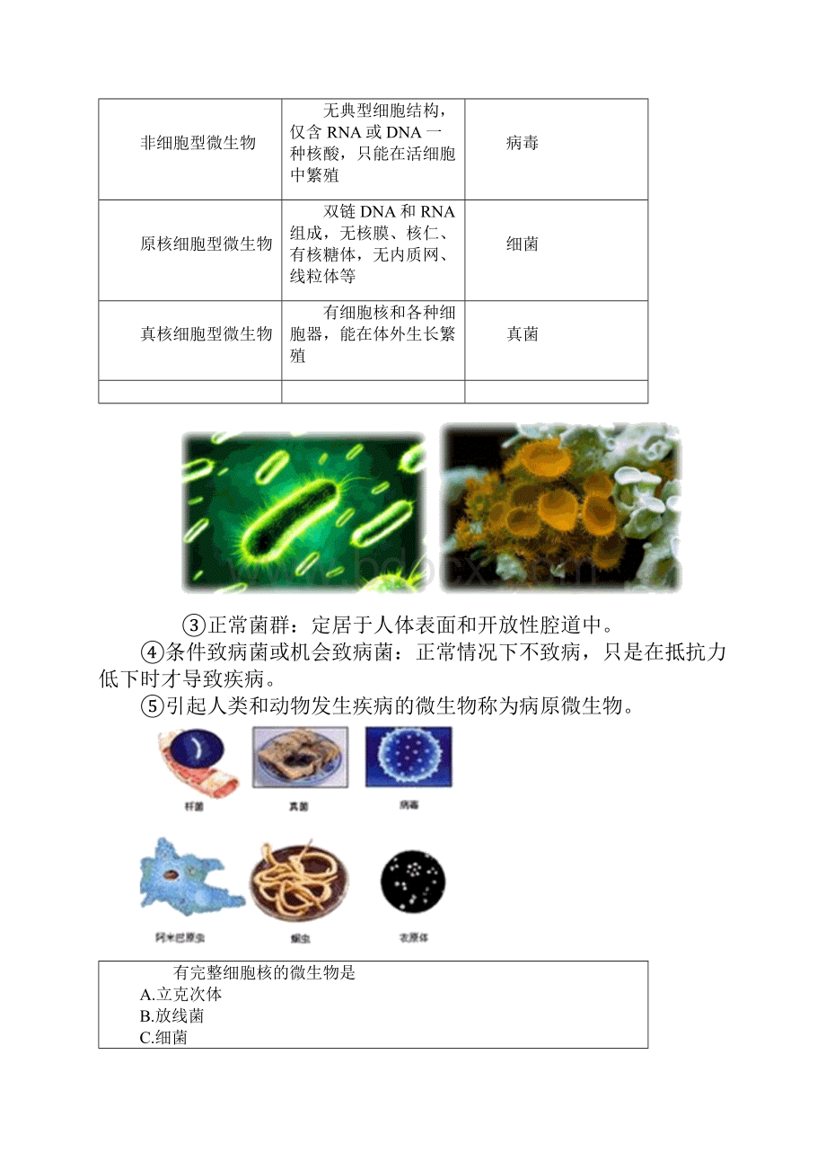 主管药师基础知识微生物学.docx_第2页