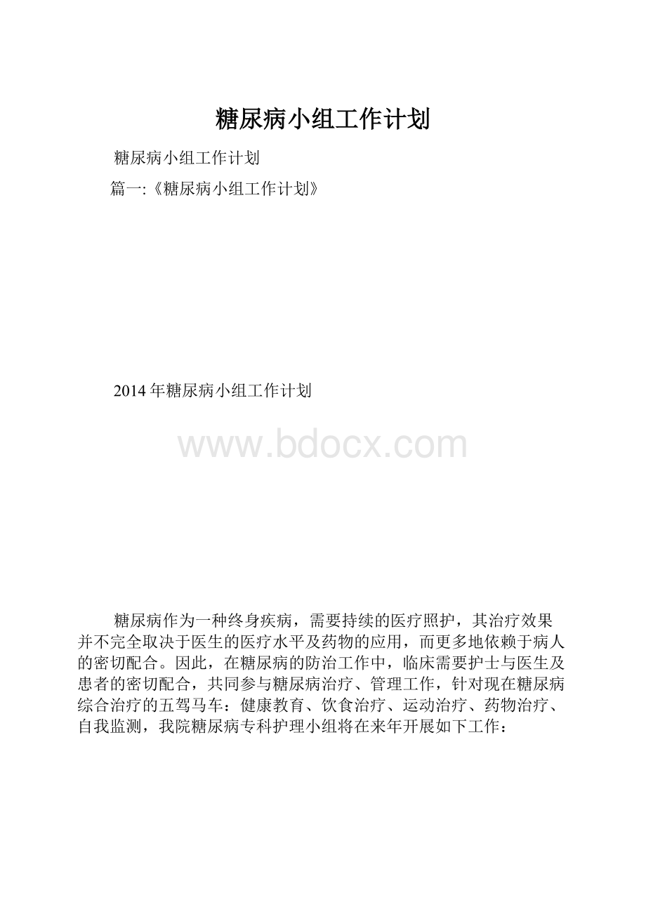 糖尿病小组工作计划.docx_第1页