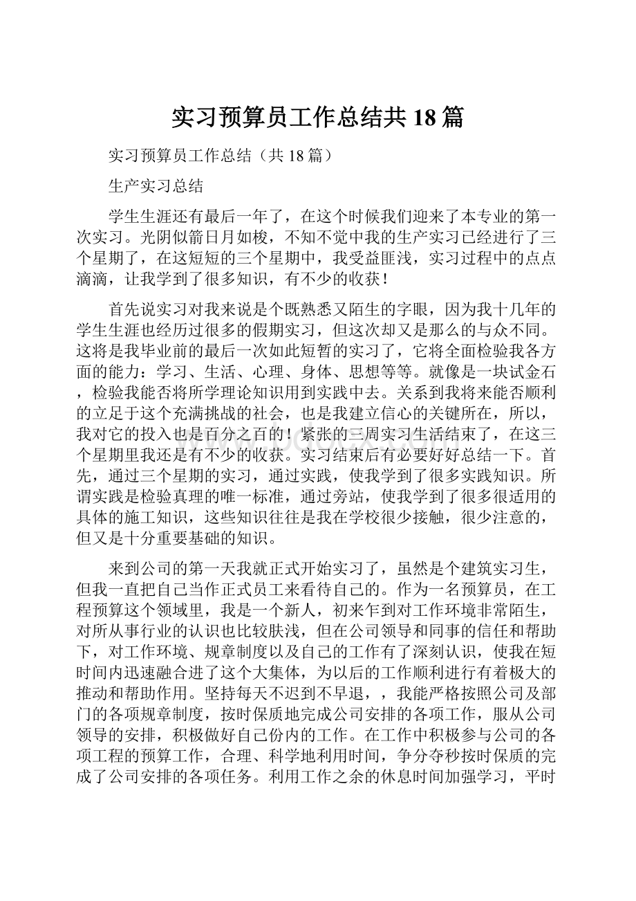 实习预算员工作总结共18篇Word格式文档下载.docx