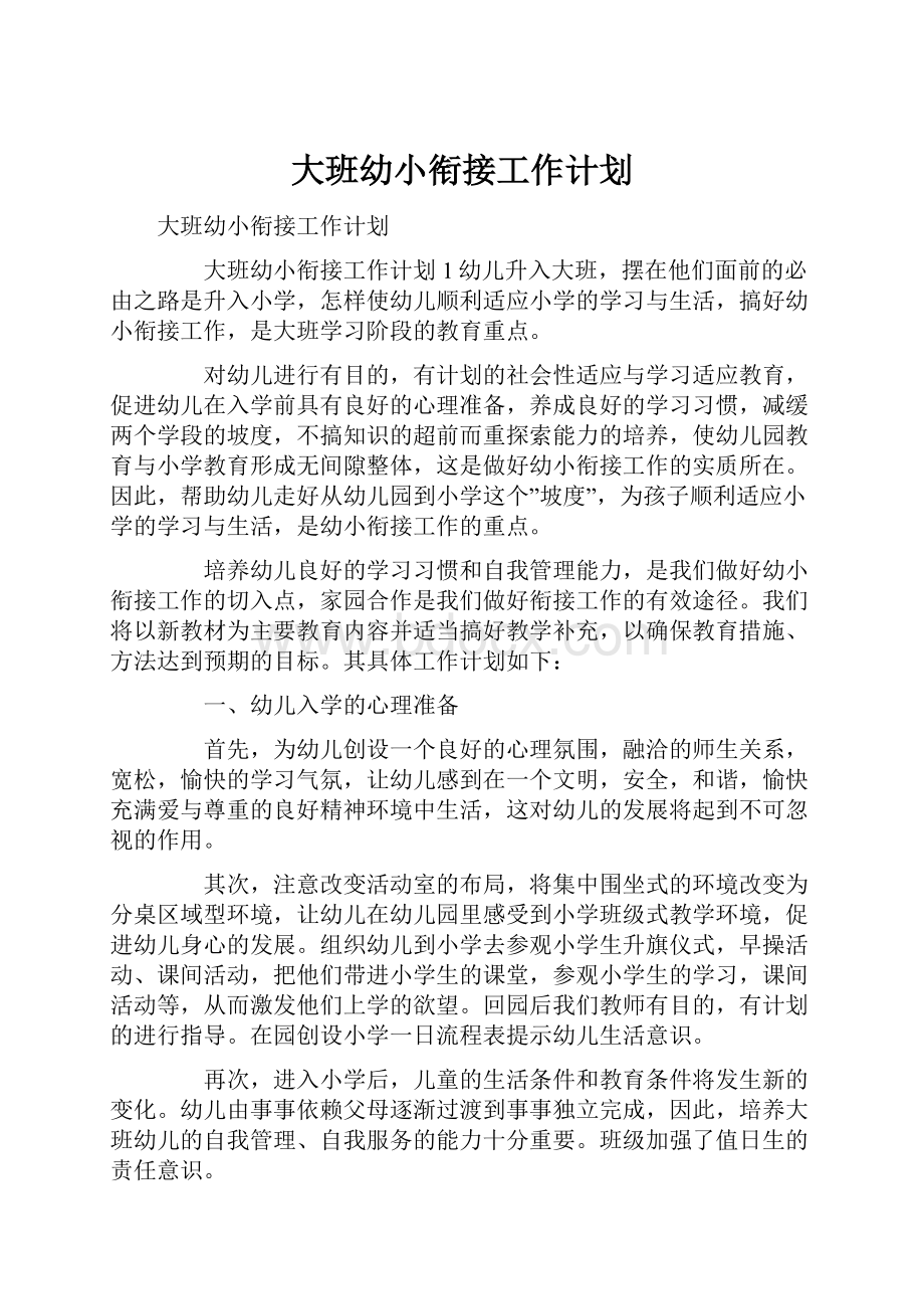 大班幼小衔接工作计划文档格式.docx