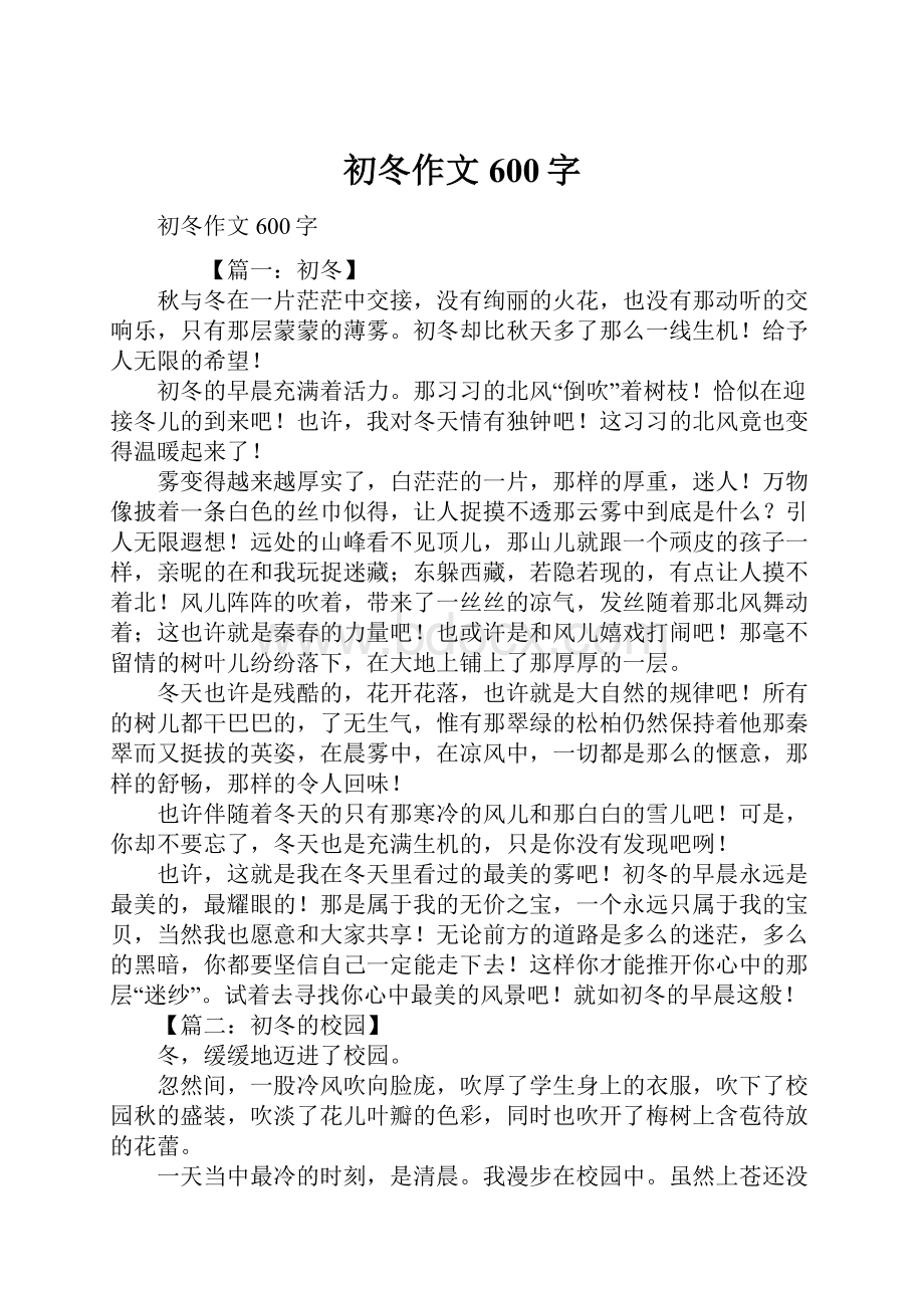 初冬作文600字Word格式文档下载.docx_第1页