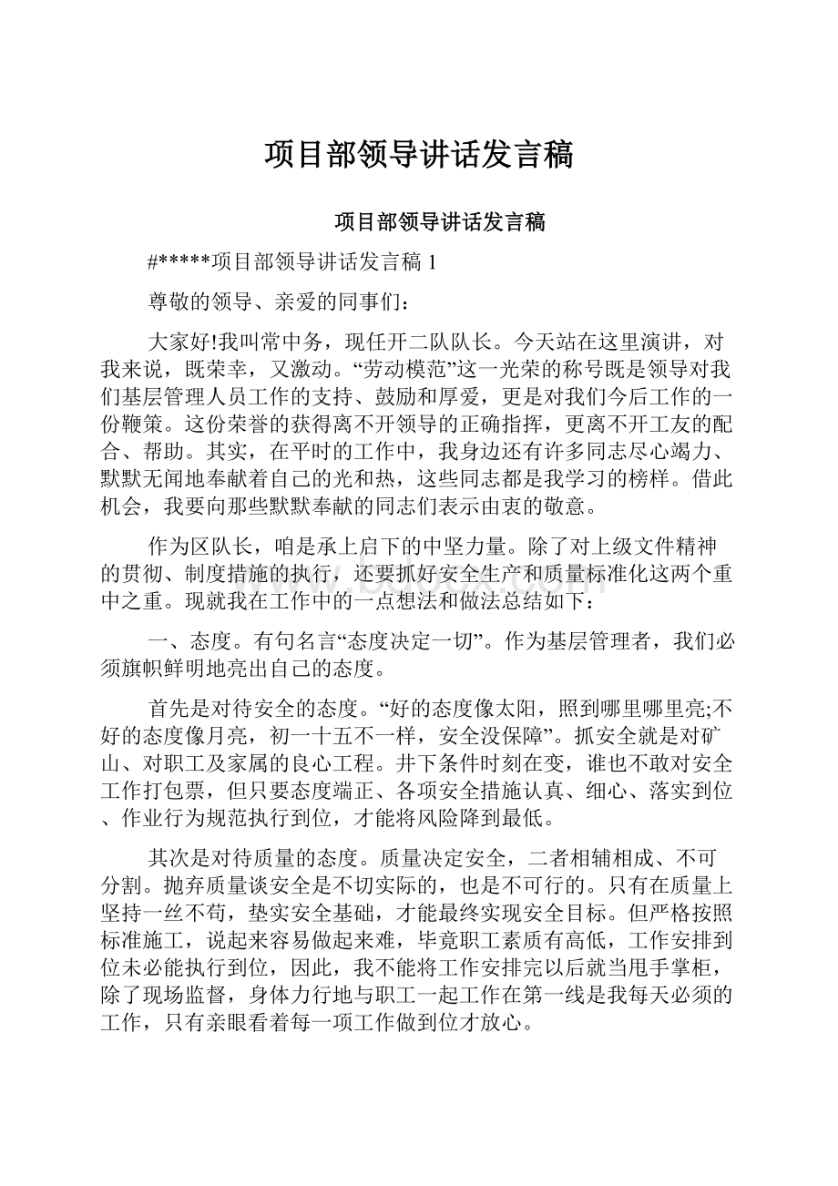 项目部领导讲话发言稿Word下载.docx