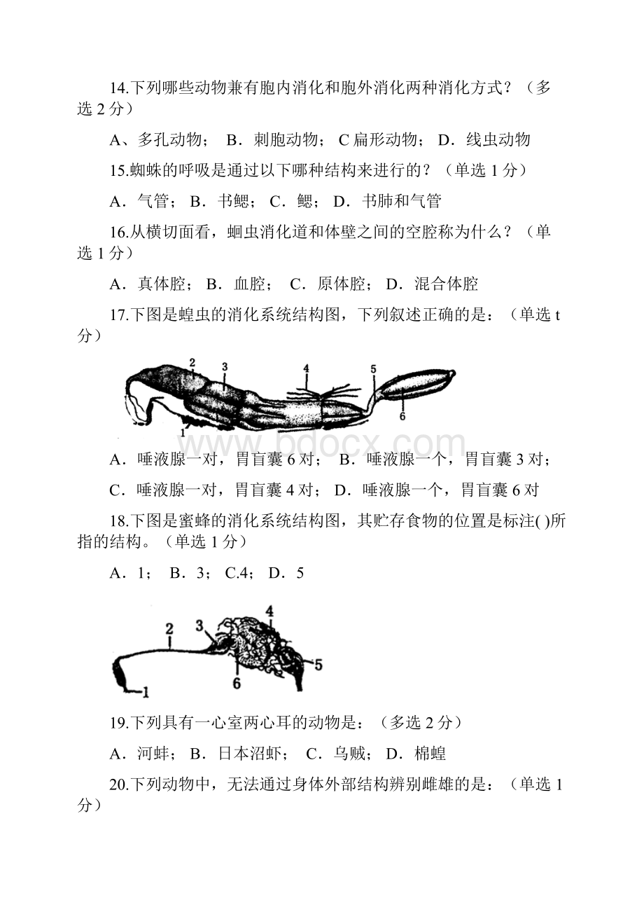 福建省中学生生物学初赛试题及答案word.docx_第3页