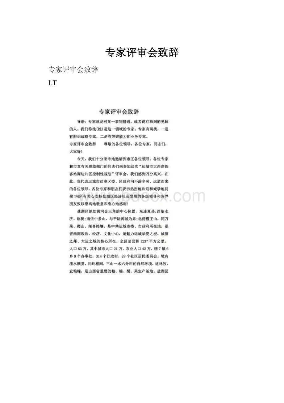 专家评审会致辞.docx_第1页