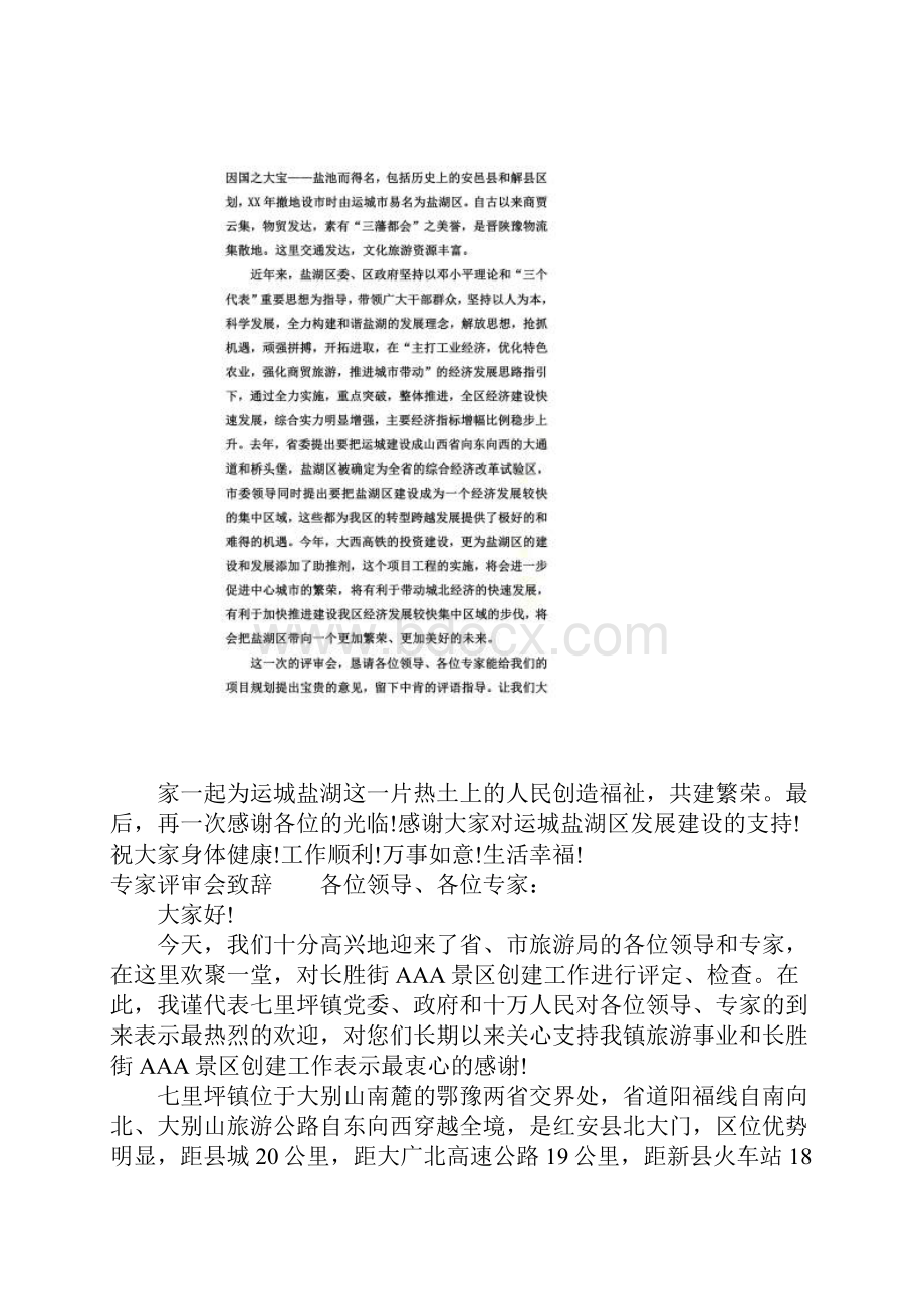 专家评审会致辞.docx_第2页