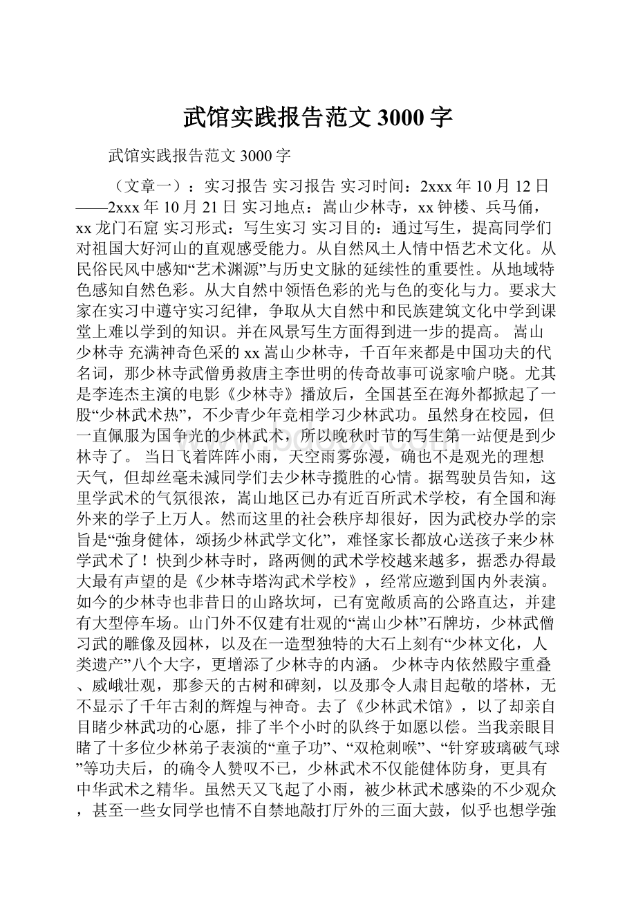 武馆实践报告范文3000字Word格式文档下载.docx