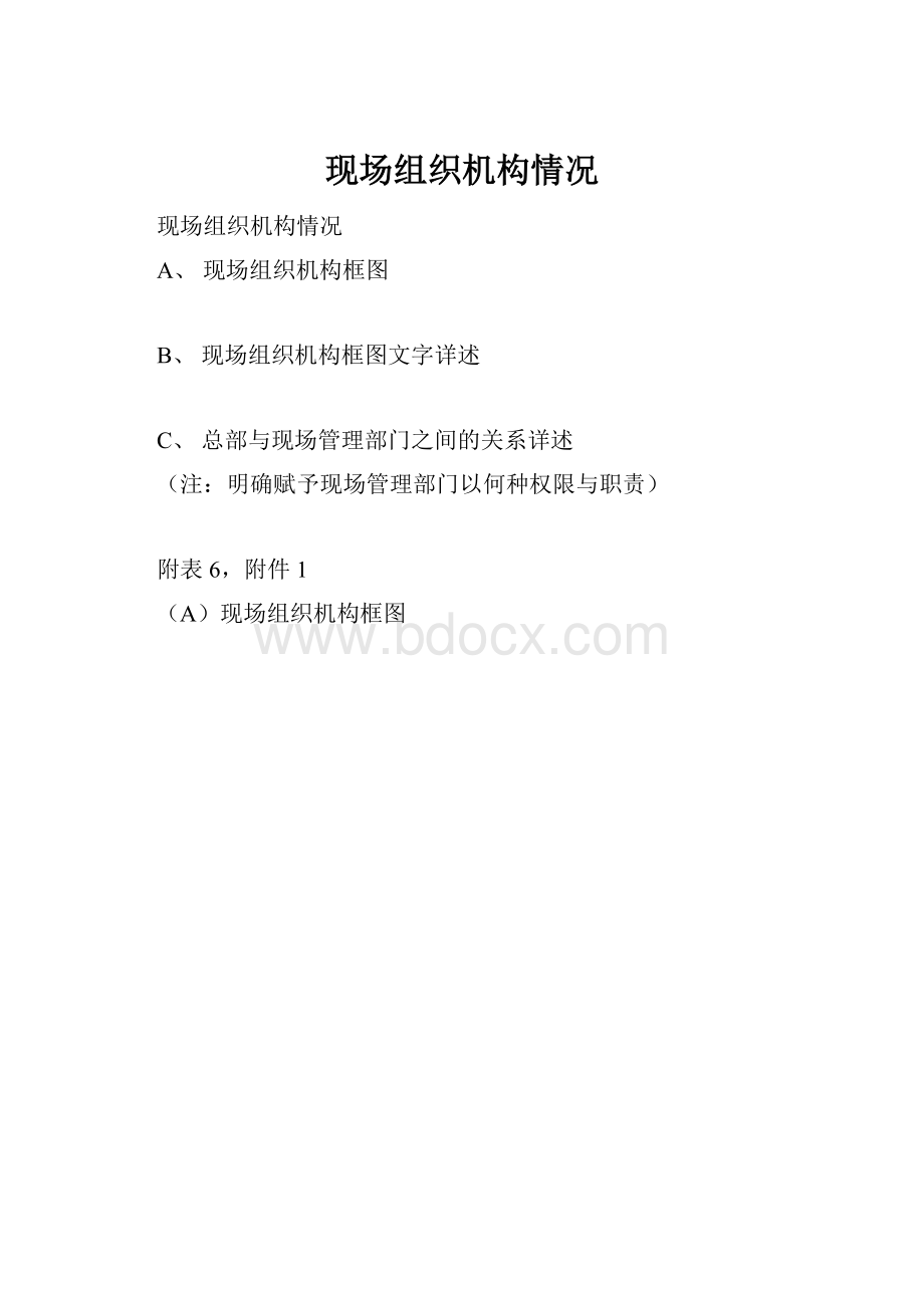 现场组织机构情况Word文档格式.docx