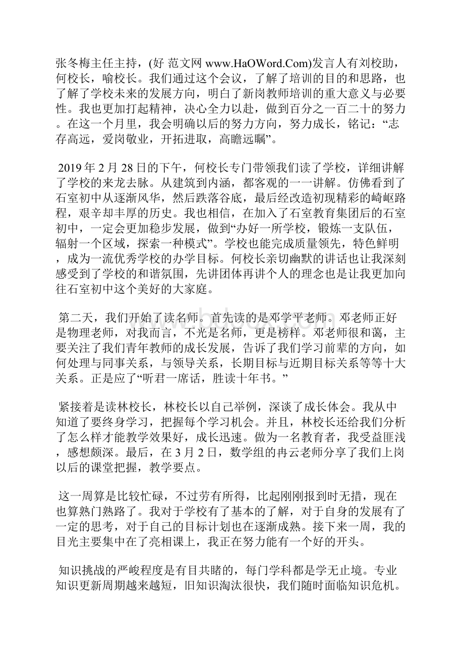 中学新岗教师培训活动日志.docx_第2页