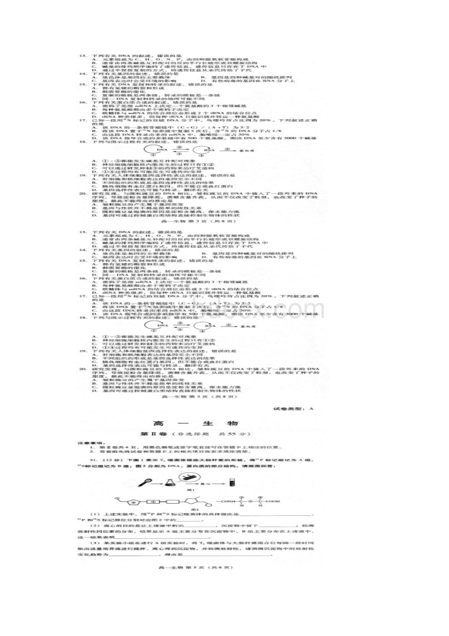 学年山东省潍坊市高一下学期期末考试生物试题扫描版含答案Word格式文档下载.docx_第2页