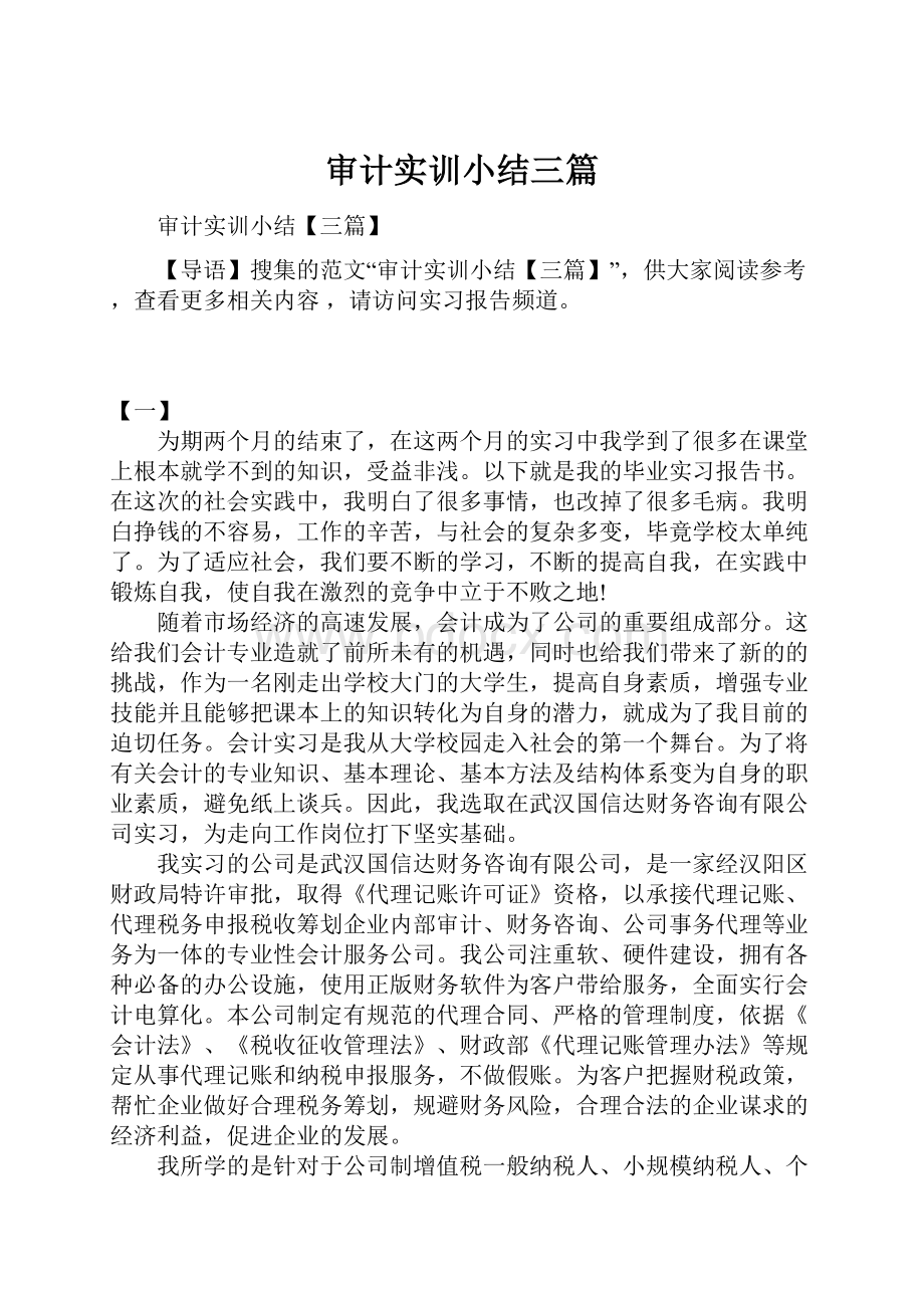 审计实训小结三篇Word格式.docx