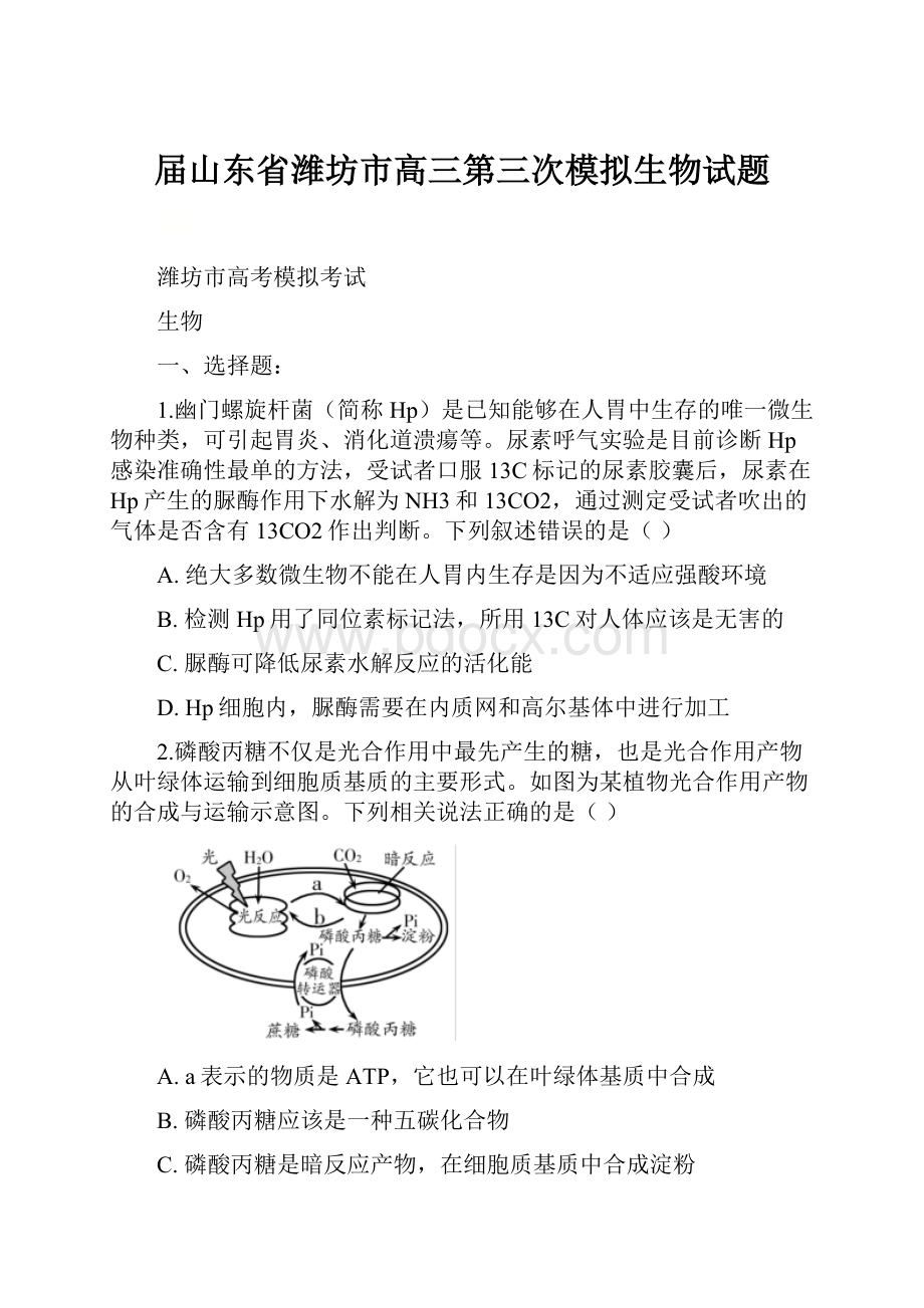 届山东省潍坊市高三第三次模拟生物试题Word文件下载.docx