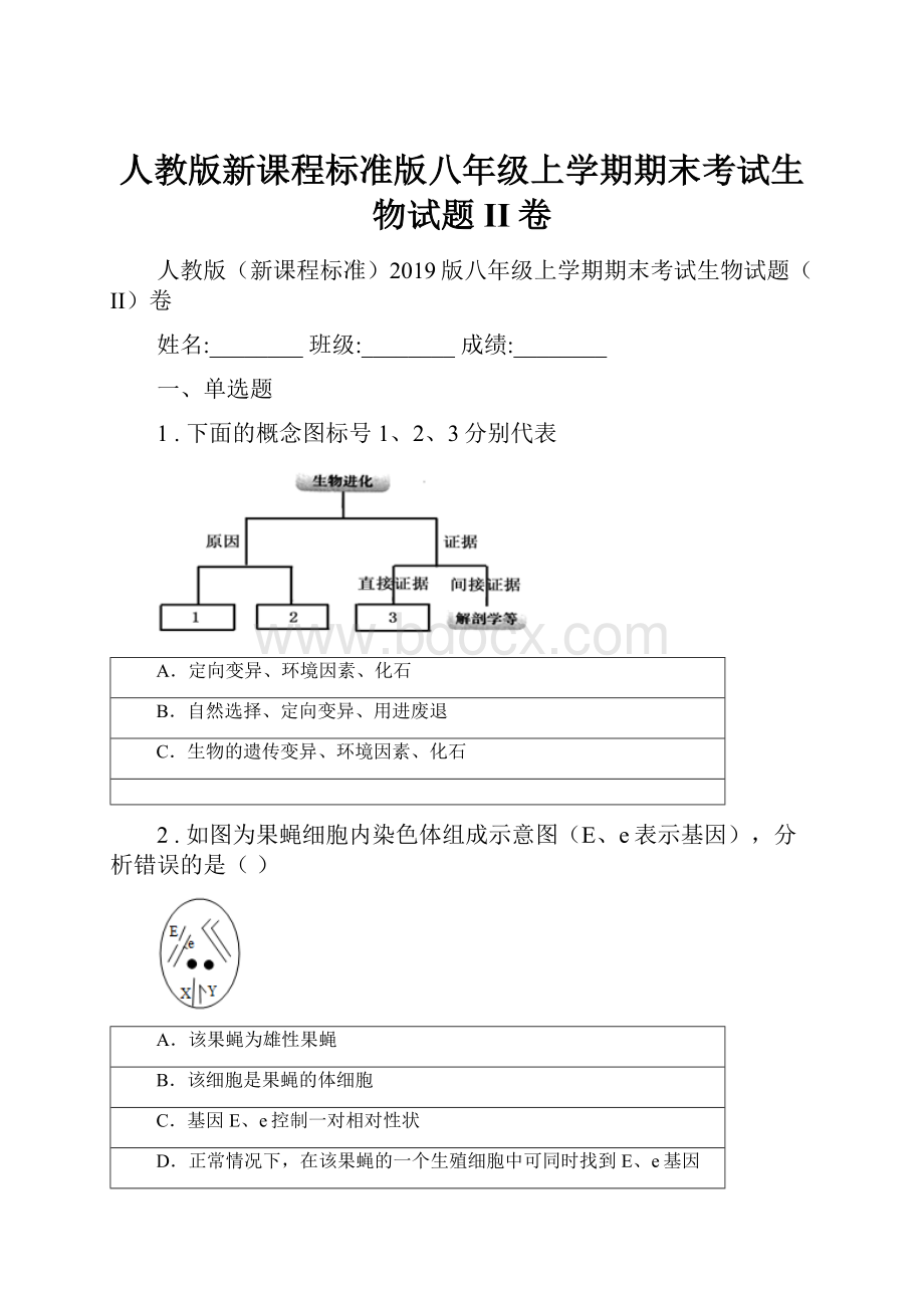 人教版新课程标准版八年级上学期期末考试生物试题II卷.docx_第1页