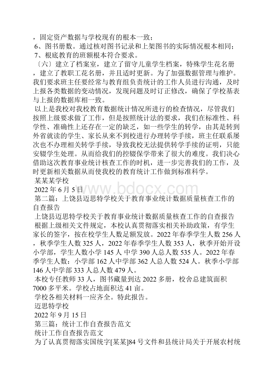 学校统计自查报告精选多篇.docx_第2页