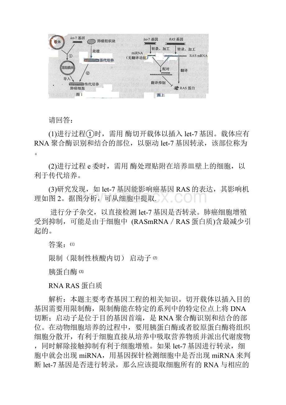 高考生物试题分类解析选修三《现代生物科技专题》.docx_第2页