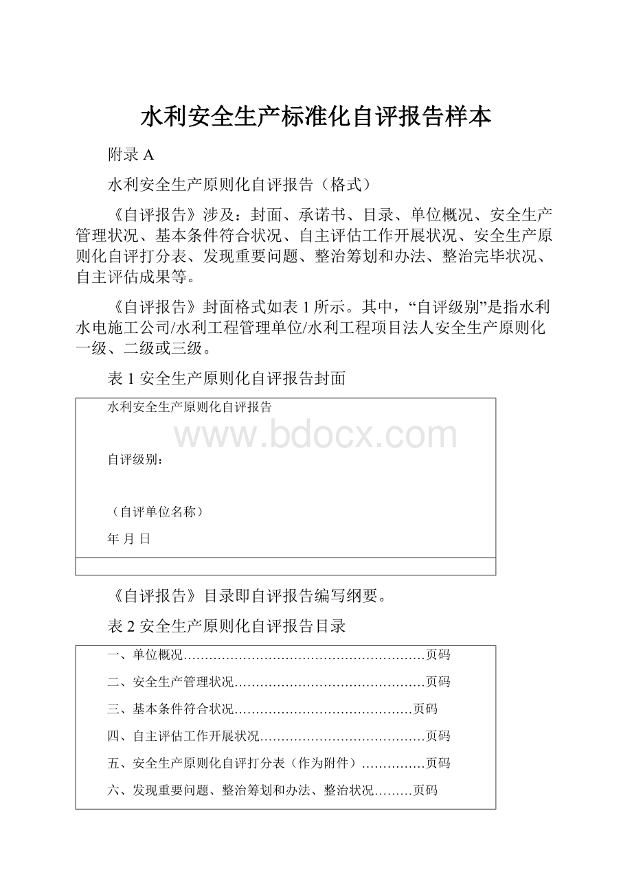 水利安全生产标准化自评报告样本.docx