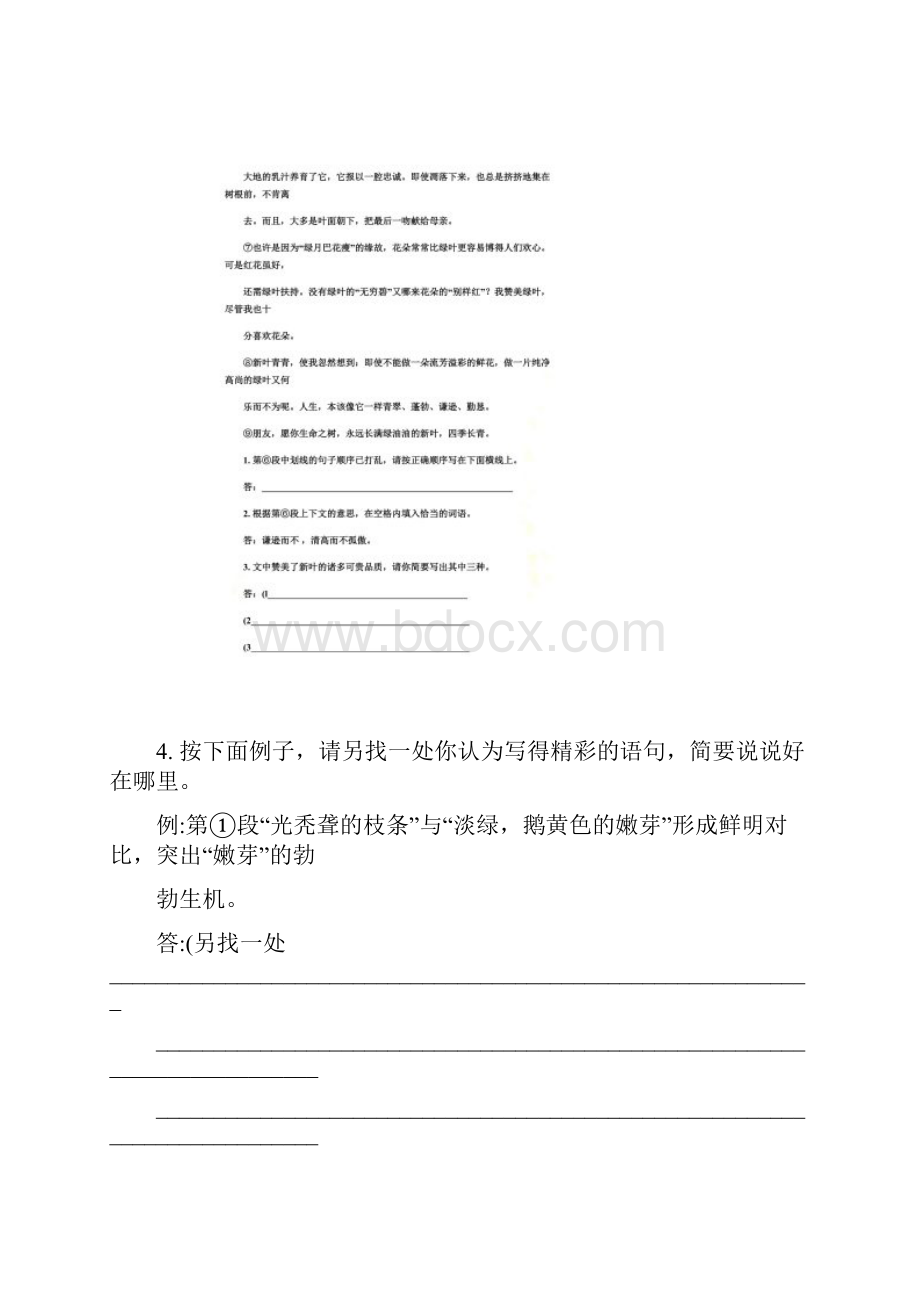 《新叶》阅读理解文档格式.docx_第3页