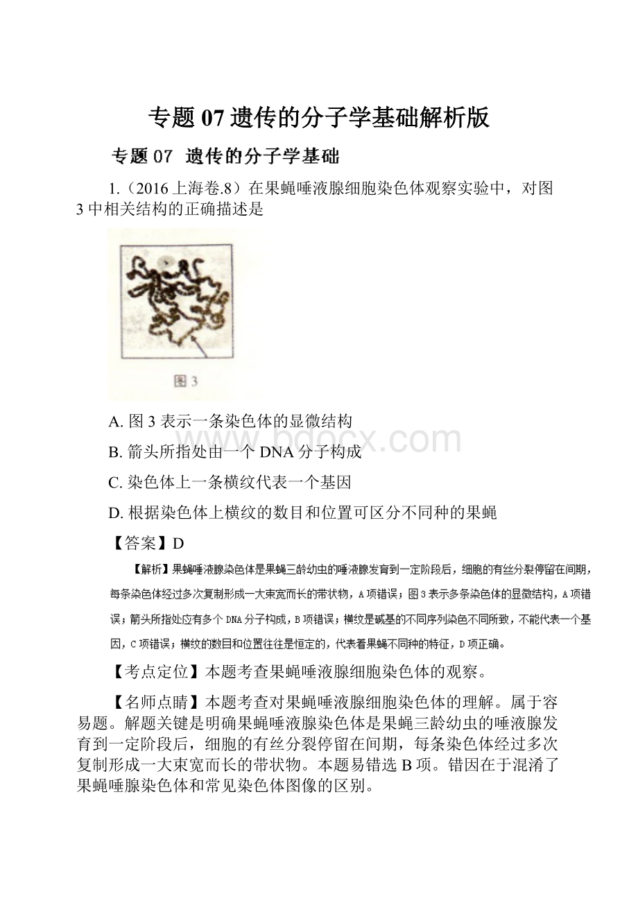 专题07遗传的分子学基础解析版Word格式文档下载.docx