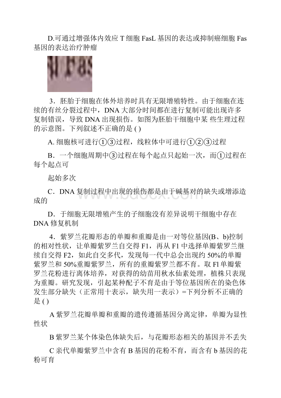 至善理综试题.docx_第2页