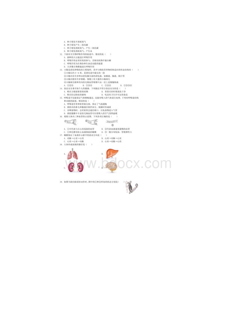 历年河南省开封市初三生物中考真题试题及答案.docx_第2页