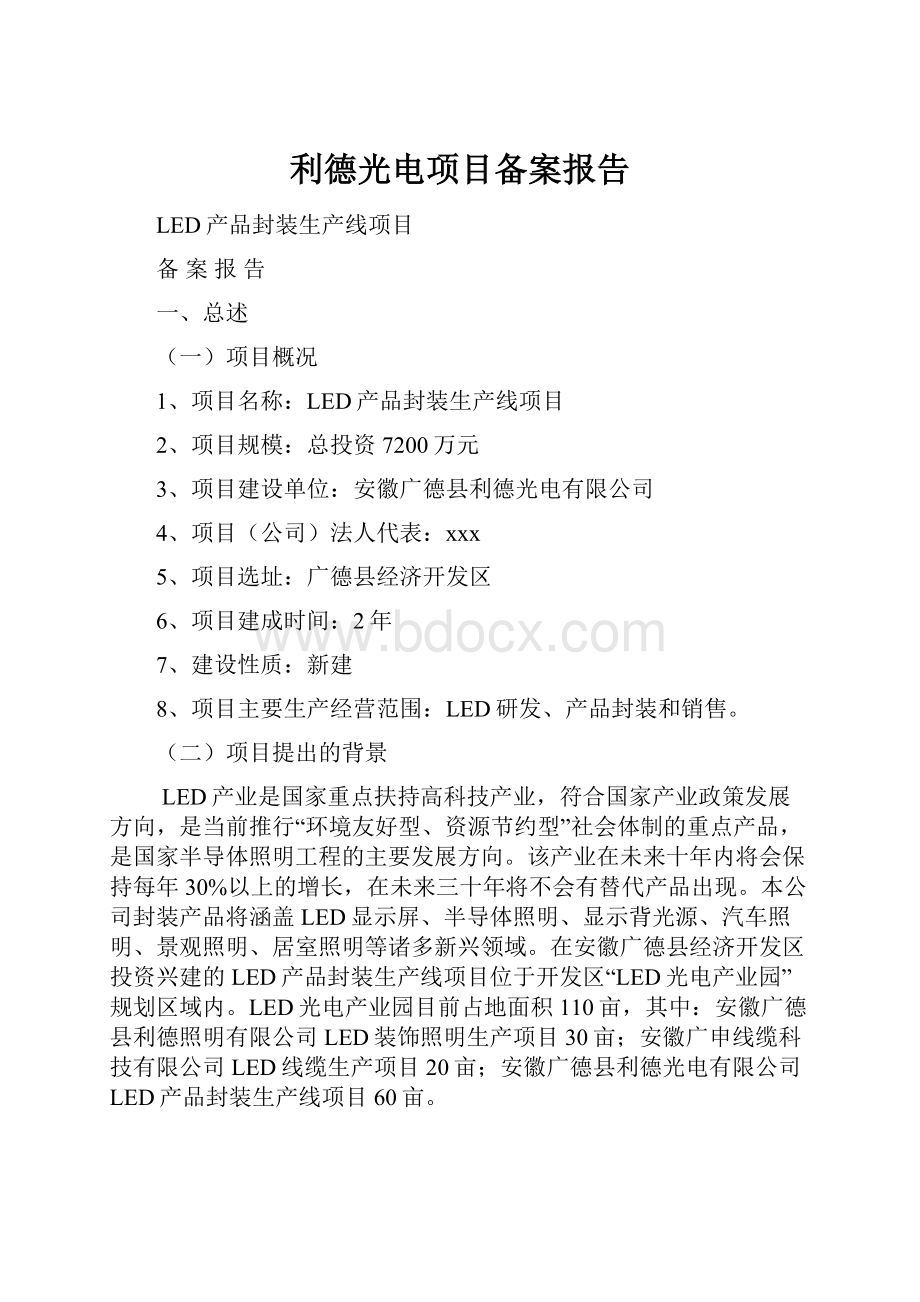 利德光电项目备案报告文档格式.docx