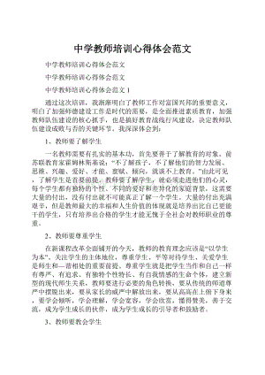 中学教师培训心得体会范文.docx