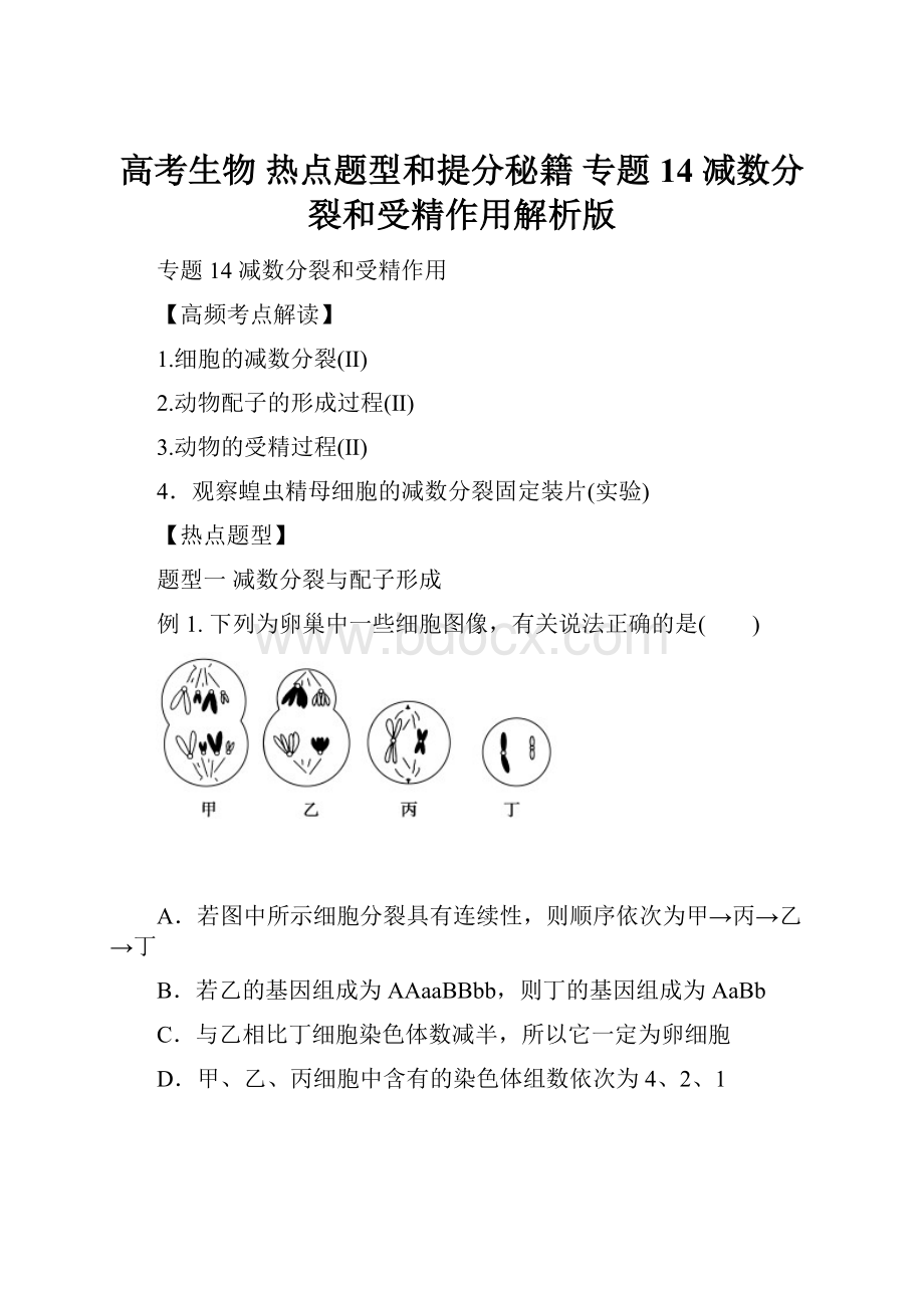 高考生物 热点题型和提分秘籍 专题14 减数分裂和受精作用解析版Word下载.docx_第1页