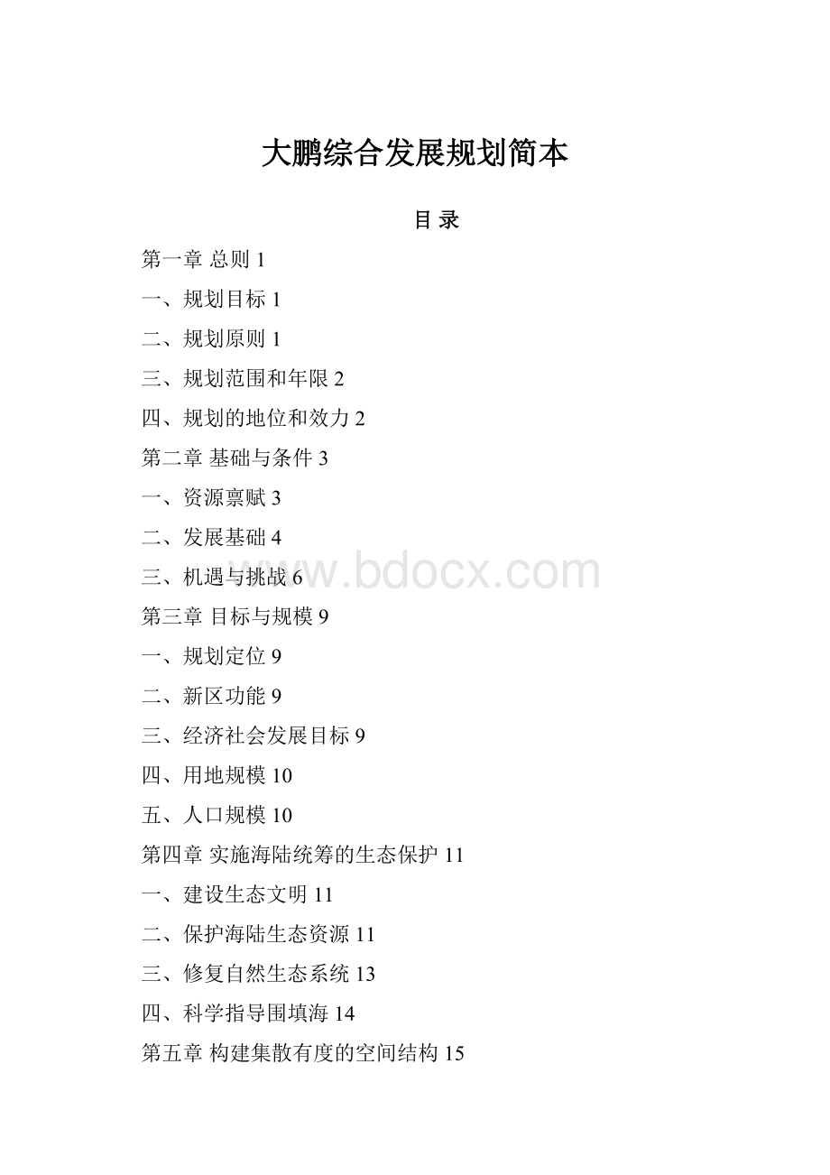 大鹏综合发展规划简本.docx