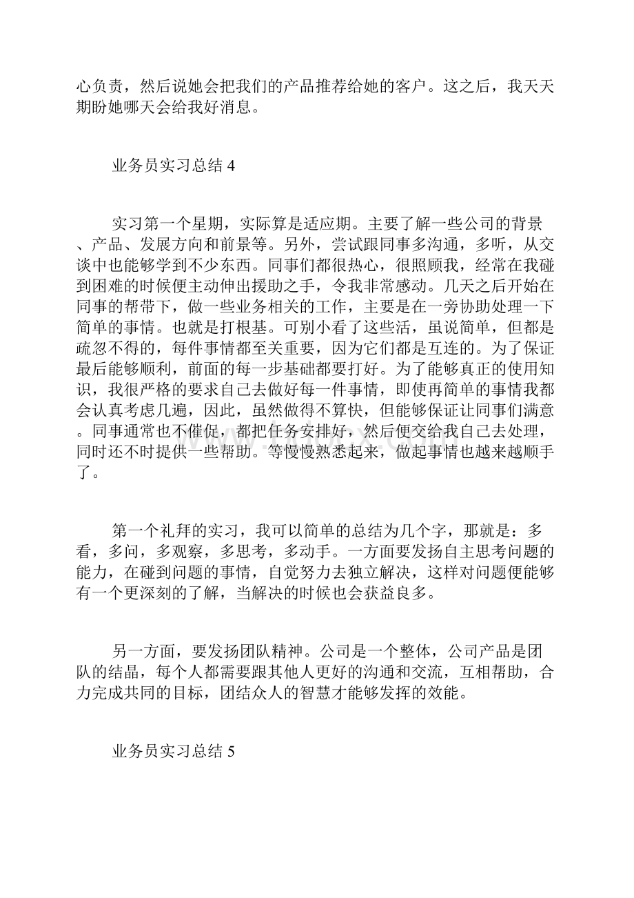 业务员实习总结10篇.docx_第3页