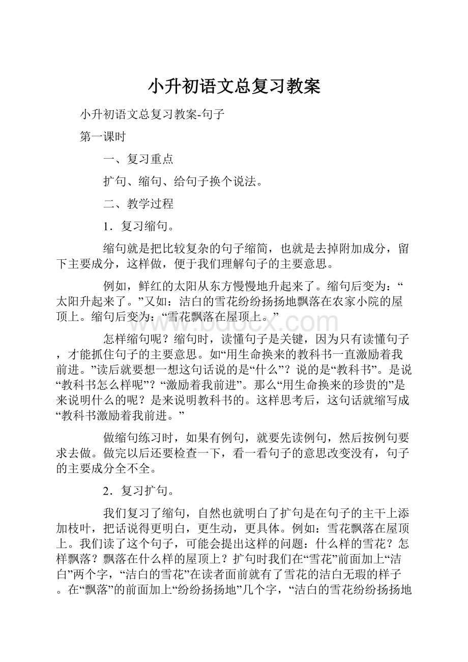 小升初语文总复习教案.docx_第1页