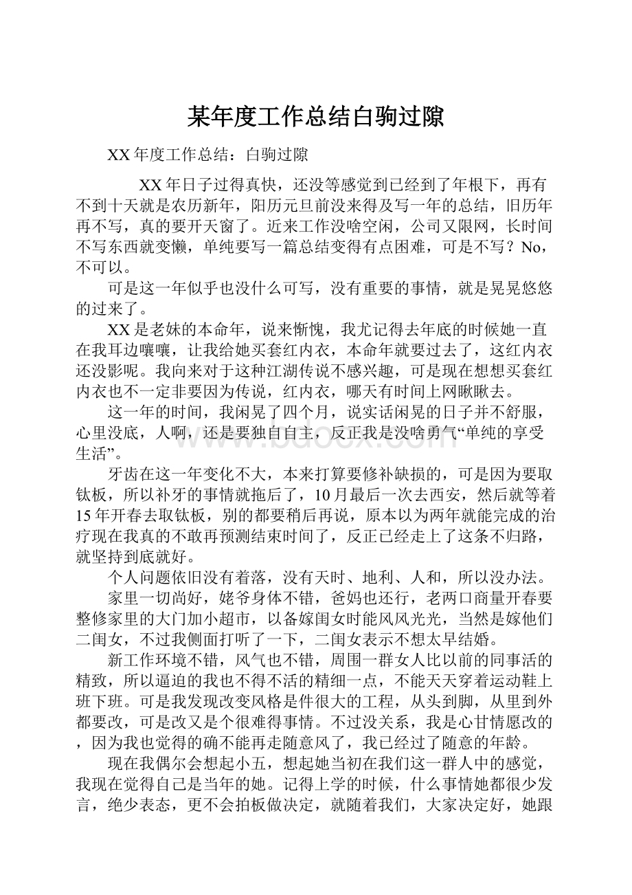 某年度工作总结白驹过隙Word格式文档下载.docx