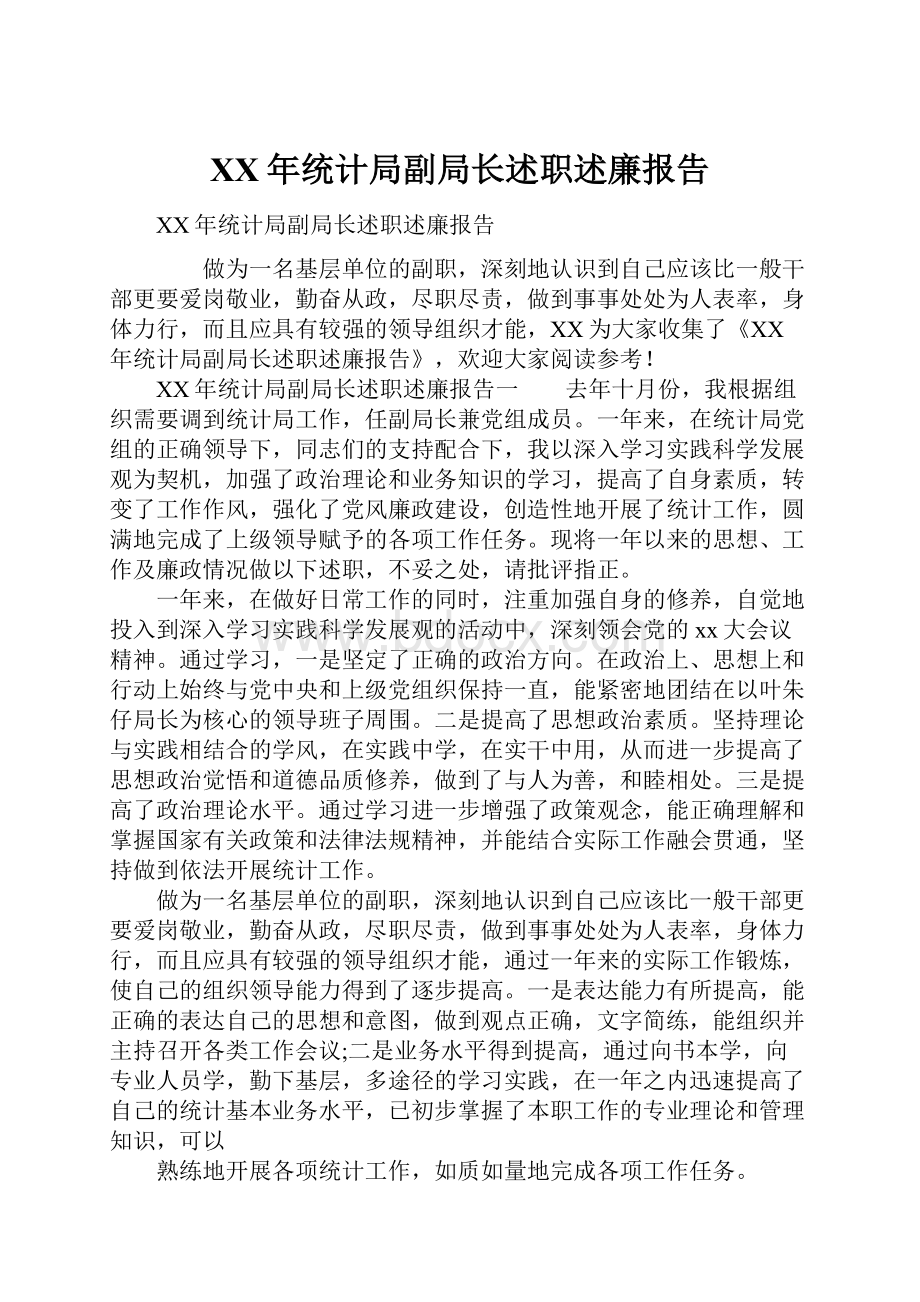 XX年统计局副局长述职述廉报告.docx_第1页