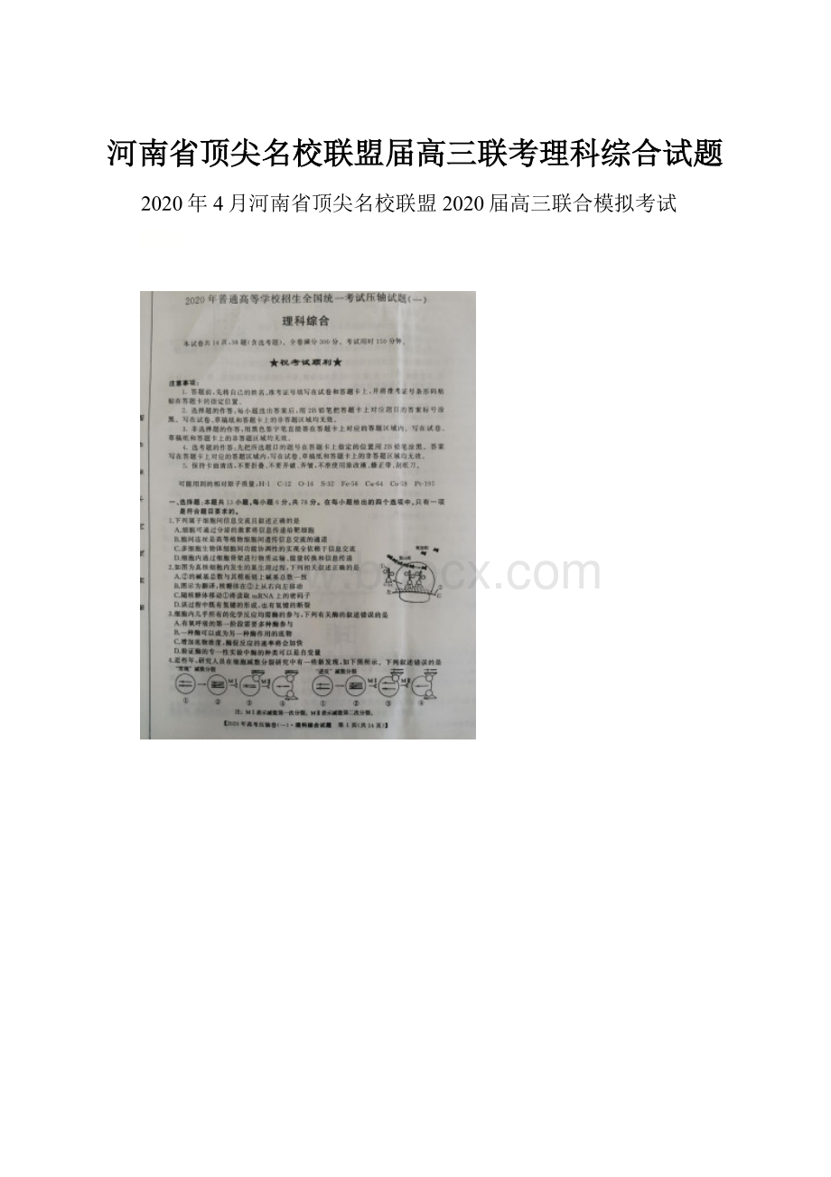 河南省顶尖名校联盟届高三联考理科综合试题Word文档格式.docx