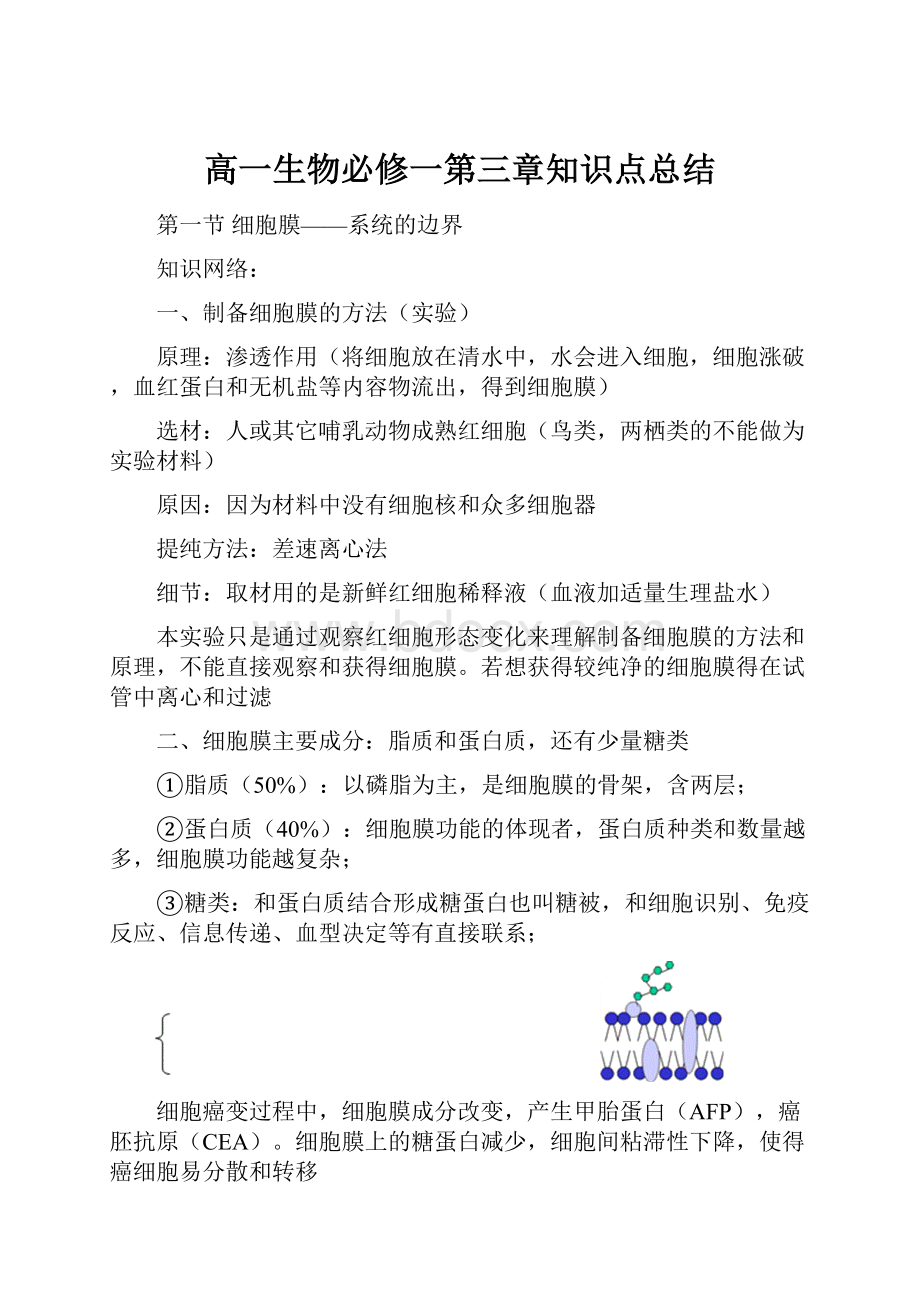 高一生物必修一第三章知识点总结文档格式.docx_第1页