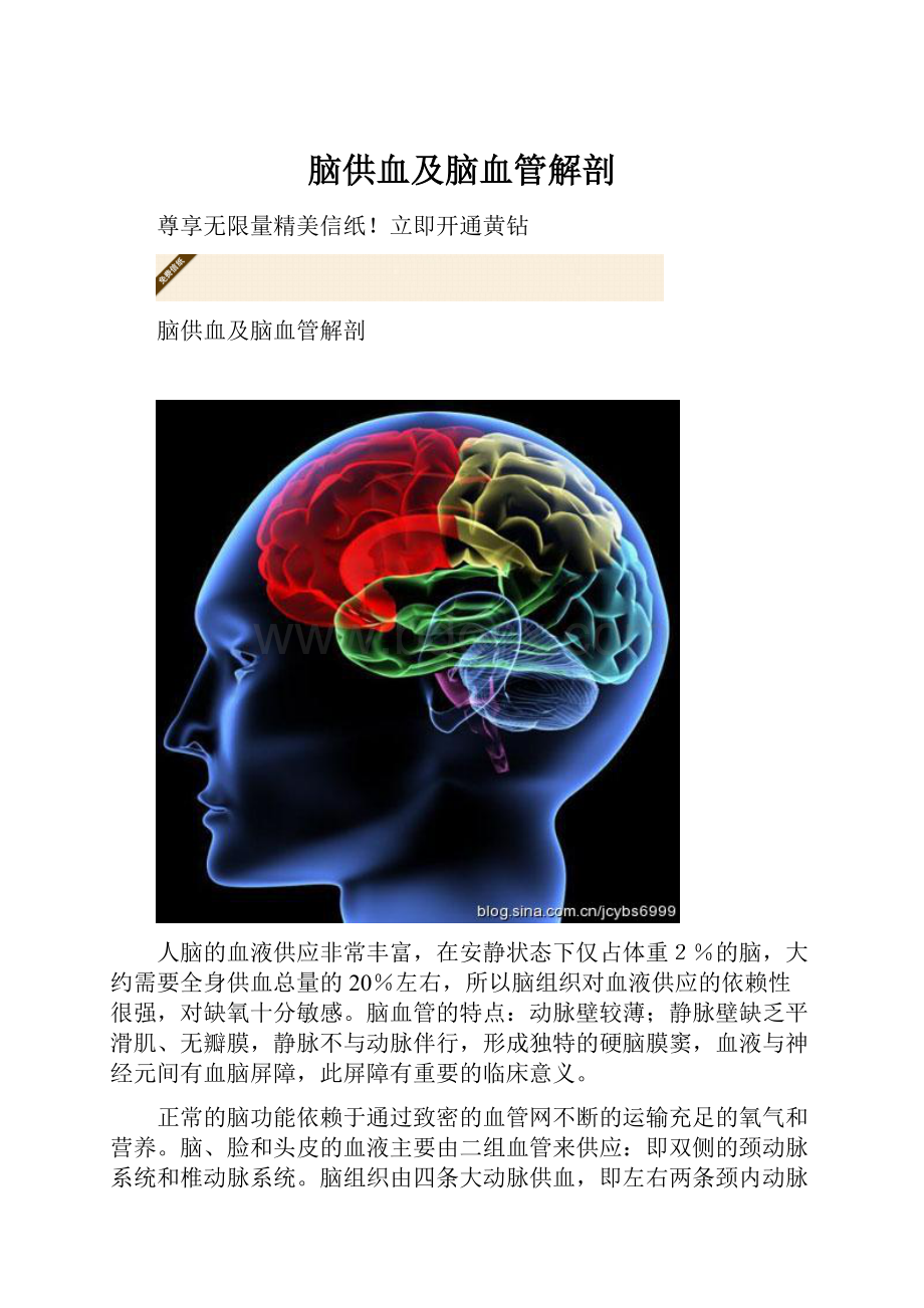 脑供血及脑血管解剖Word文档下载推荐.docx