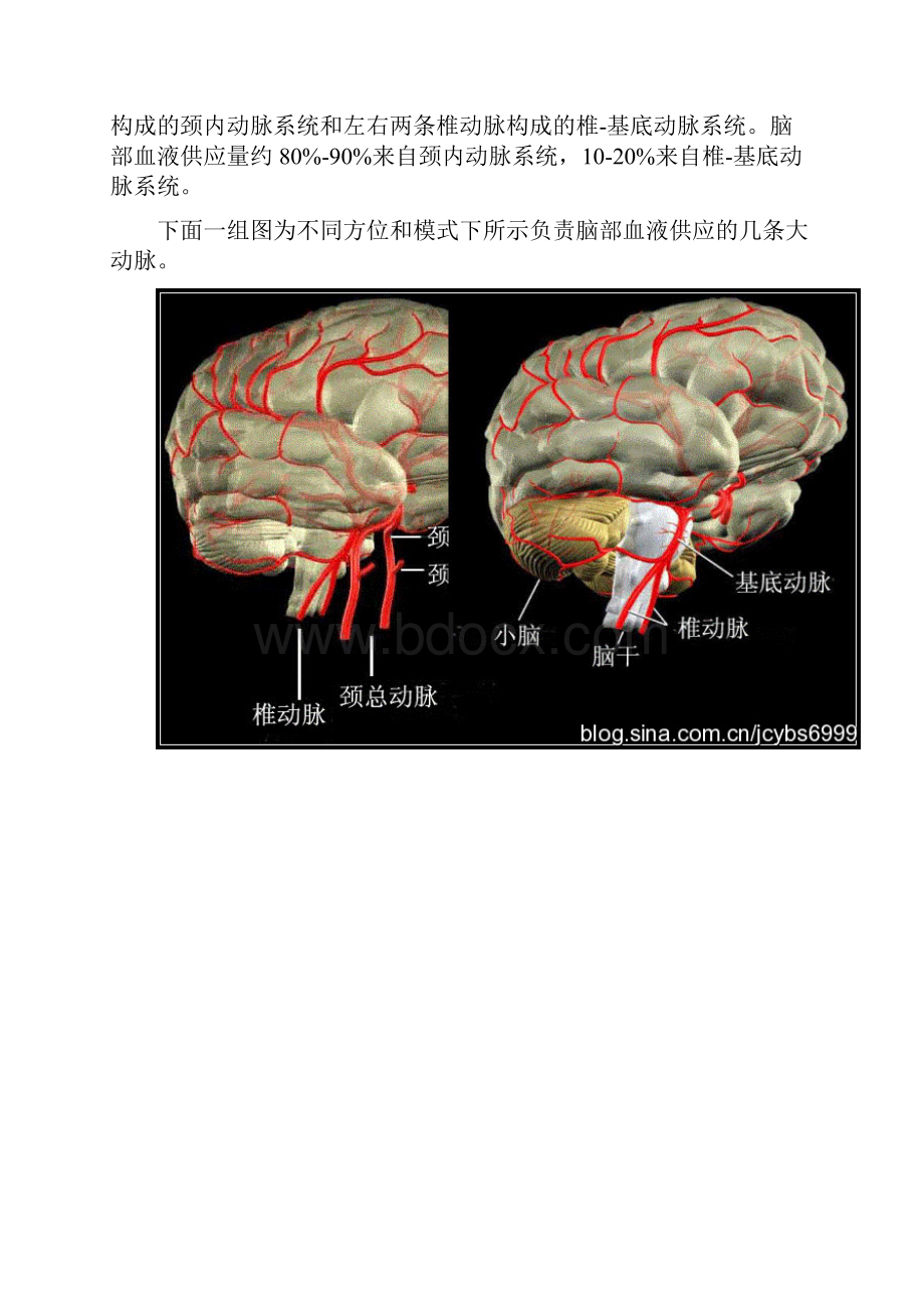 脑供血及脑血管解剖.docx_第2页